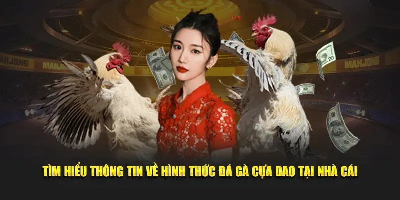 Đá Gà Cựa Dao 789P