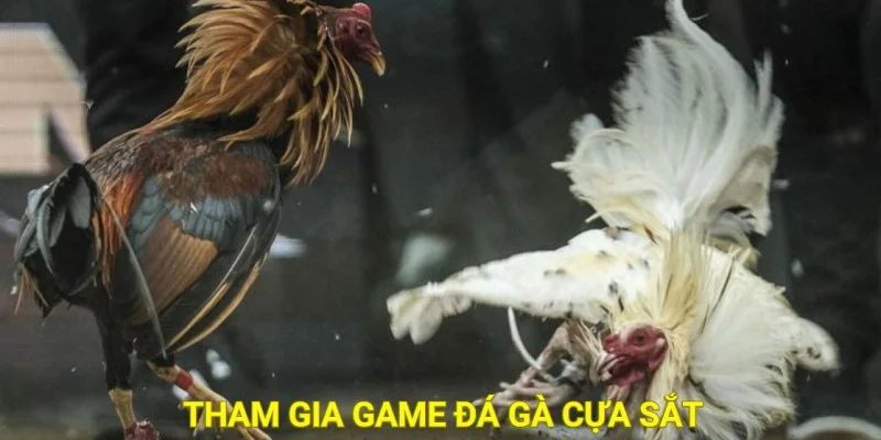 game đá gà online 789P 