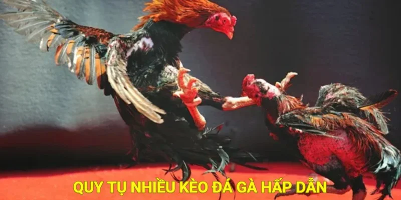 game đá gà online 789P 