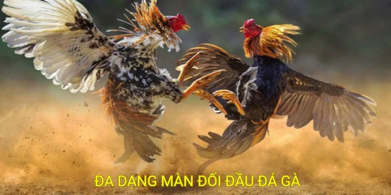 game đá gà online 789P 