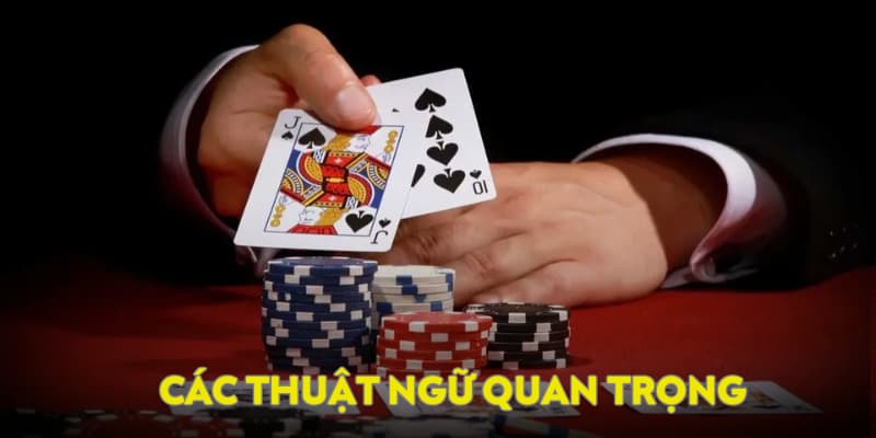 Xì tố online